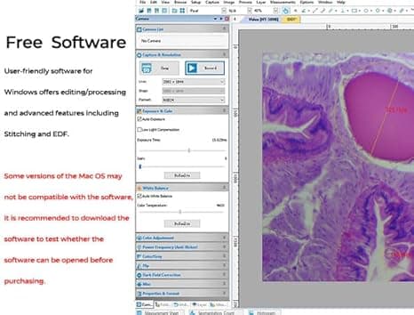 product image preview