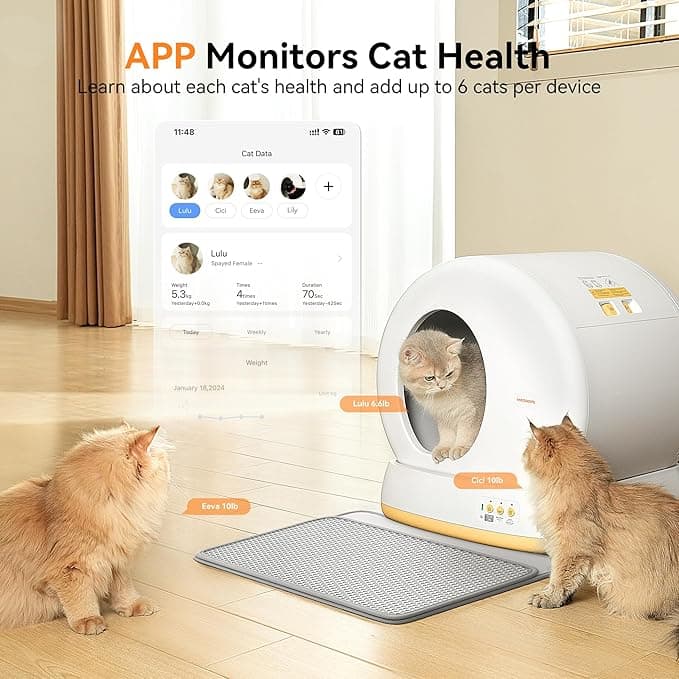 product image preview